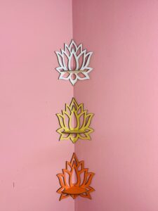 পদ্মফুল বর্তমান প্রাইস ক্যানডেল সহ ১০৯৯ টাকা