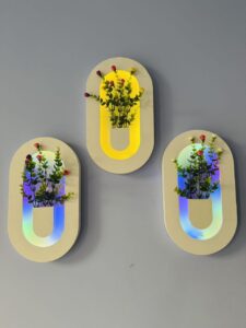 Capsule - Floral Glow Wall Frame